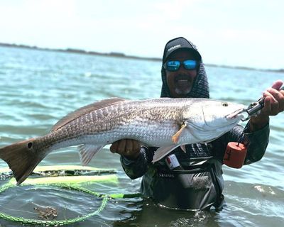 Port Aransas Fishing Charters | 4HRS Morning Fishing Charter